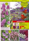 Pflanzen Kölle Der Duft der Provence.-Seite3