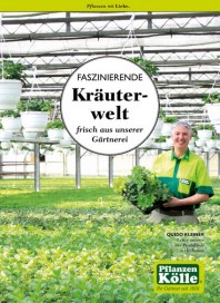 Pflanzen Kölle Faszinierende Kräuterwelt Juli 2015 KW30