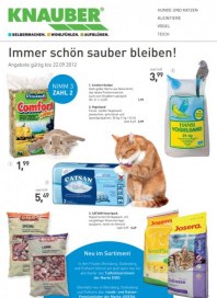 Knauber Immer schön sauber bleiben August 2012 KW35 Knauber Immer schön sauber bleiben August 2012 KW35