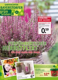 grün erleben Gartencenter Bayerstorfer & Huttenlocher GmbH Verführerischer Herbstflirt September 201