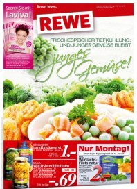 Rewe Besser leben Januar 2013 KW03 Rewe Besser leben Januar 2013 KW03