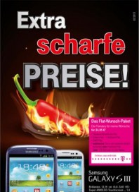 nachReiner Extra scharfe Preise Februar 2013 KW06