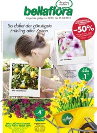 Bellaflora Der günstigste Frühling aller Zeiten März 2013 KW10 Bellaflora Der günstigste Frühling aller Zeiten März 2013 KW10