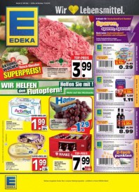 Edeka Aktuelle Angebote Juni 2013 KW25 19