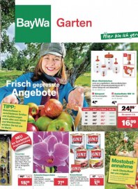 Baywa Bau- & Gartenmärkte Bay & Garten Angebote August 2013 KW35 Baywa Bau- & Gartenmärkte Bay & Garten Angebote August 2013 KW35