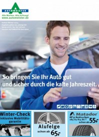 AUTOMEISTER Reifen & Felgen plus Winter Check September 2013 KW37 AUTOMEISTER Reifen & Felgen plus Winter Check September 2013 KW37