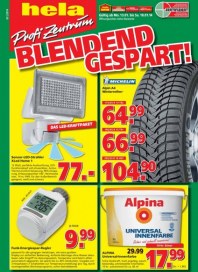 hela Profi Zentrum Baumarkt Angebote Januar 2014 KW03 2 hela Profi Zentrum Baumarkt Angebote Januar 2014 KW03 2