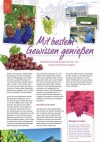 real,- Sonderbeilage - Obst & Gemüsemarkt-Seite6