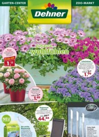Dehner Prospekt gültig von 17-06 bis 23-06-2014 Juni 2014 KW25 Dehner Prospekt gültig von 17-06 bis 23-06-2014 Juni 2014 KW25