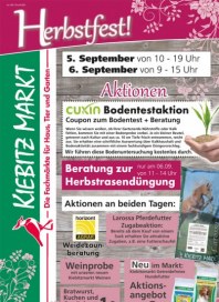 Kiebitzmarkt Farbenfroh in den Herbst September 2014 KW36 1