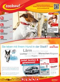 Schleidt Heimtierfachmarkt Dogs and the City September 2014 KW39
