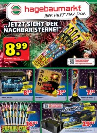 hagebaumarkt Jetzt sieht der Nachbar Sterne Dezember 2014 KW01 hagebaumarkt Jetzt sieht der Nachbar Sterne Dezember 2014 KW01