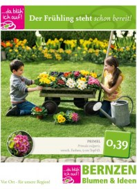 Blumen-Bernzen Der Frühling steht schon bereit März 2015 KW10