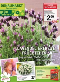 Donaumarkt Gartencenter Gartenplanung GmbH Lavendel erfreut Früchtchen April 2015 KW15