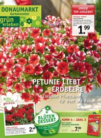 Donaumarkt Gartencenter Gartenplanung GmbH Petunie liebt Erdbeere April 2015 KW17