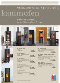 HAGOS Partner Kaminöfen Juli 2015 KW28