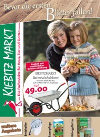 Kiebitzmarkt Bevor die ersten Blätter fallen September 2015 KW36 2 Kiebitzmarkt Bevor die ersten Blätter fallen September 2015 KW36 2