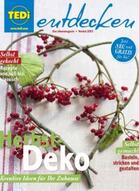Tedi GmbH & Co. KG Herbstdeko- Kreative Ideen für Ihr Zuhause September 2015 KW39 Tedi GmbH & Co. KG Herbstdeko- Kreative Ideen für Ihr Zuhause September 2015 KW39
