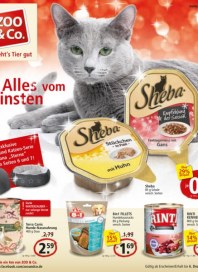 Zoo & Co. Alles vom Feinsten November 2015 KW48 Zoo & Co. Alles vom Feinsten November 2015 KW48