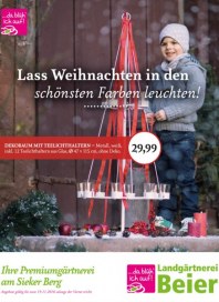 Landgärtnerei Beier Lass Weihnachten in den schönsten Farben leuchten November 2016 KW45