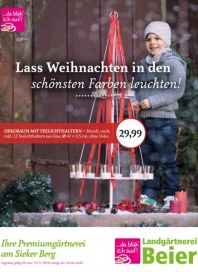 Landgärtnerei Beier Lass Weihnachten in den schönsten Farben leuchten November 2016 KW45 Landgärtnerei Beier Lass Weihnachten in den schönsten Farben leuchten November 2016 KW45