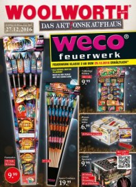 Woolworth Das Aktionskaufhaus Dezember 2016 KW52 1 Woolworth Das Aktionskaufhaus Dezember 2016 KW52 1
