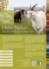 Die Malerwerkstatt Eggert Kessler GmbH Natur & Farbe I Teppich mit Kaschmir-Ziegenhaar-Seite7