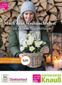 Gärtnerei Knauß & Söhne GbR Mach dein Weihnachtsfest zu einem Blütentraum November 2017 KW45