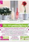 Gärtnerei Knauß & Söhne GbR Mach dein Weihnachtsfest zu einem Blütentraum!-Seite8
