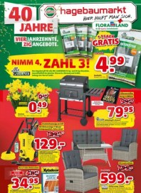 hagebaumarkt Hagebau (Weekly1) März 2019 KW11 9 hagebaumarkt Hagebau (Weekly1) März 2019 KW11 9