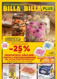 Billa Billa (KW07) Februar 2023 KW07 4 Billa Billa (KW07) Februar 2023 KW07 4