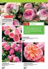 Raiffeisen-Markt Frühjahr/Sommer Katalog. Vreden-Seite8