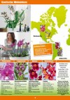 OBI Orchideen-Welt-Seite2