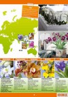 OBI Orchideen-Welt-Seite3