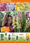 OBI Orchideen-Welt-Seite6