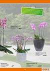 OBI Orchideen-Welt-Seite9